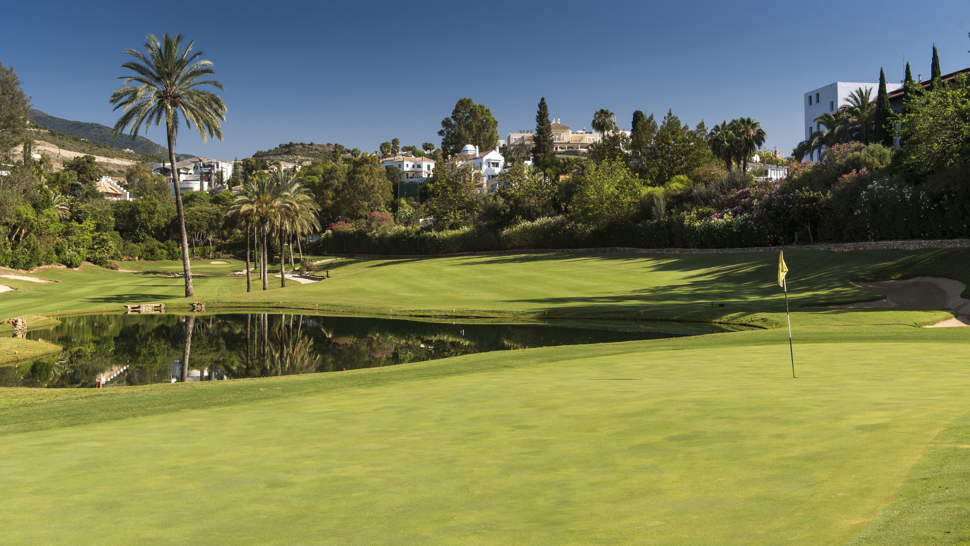 Ein Golfplatz mit Teich, Palmen und Häusern im Hintergrund.