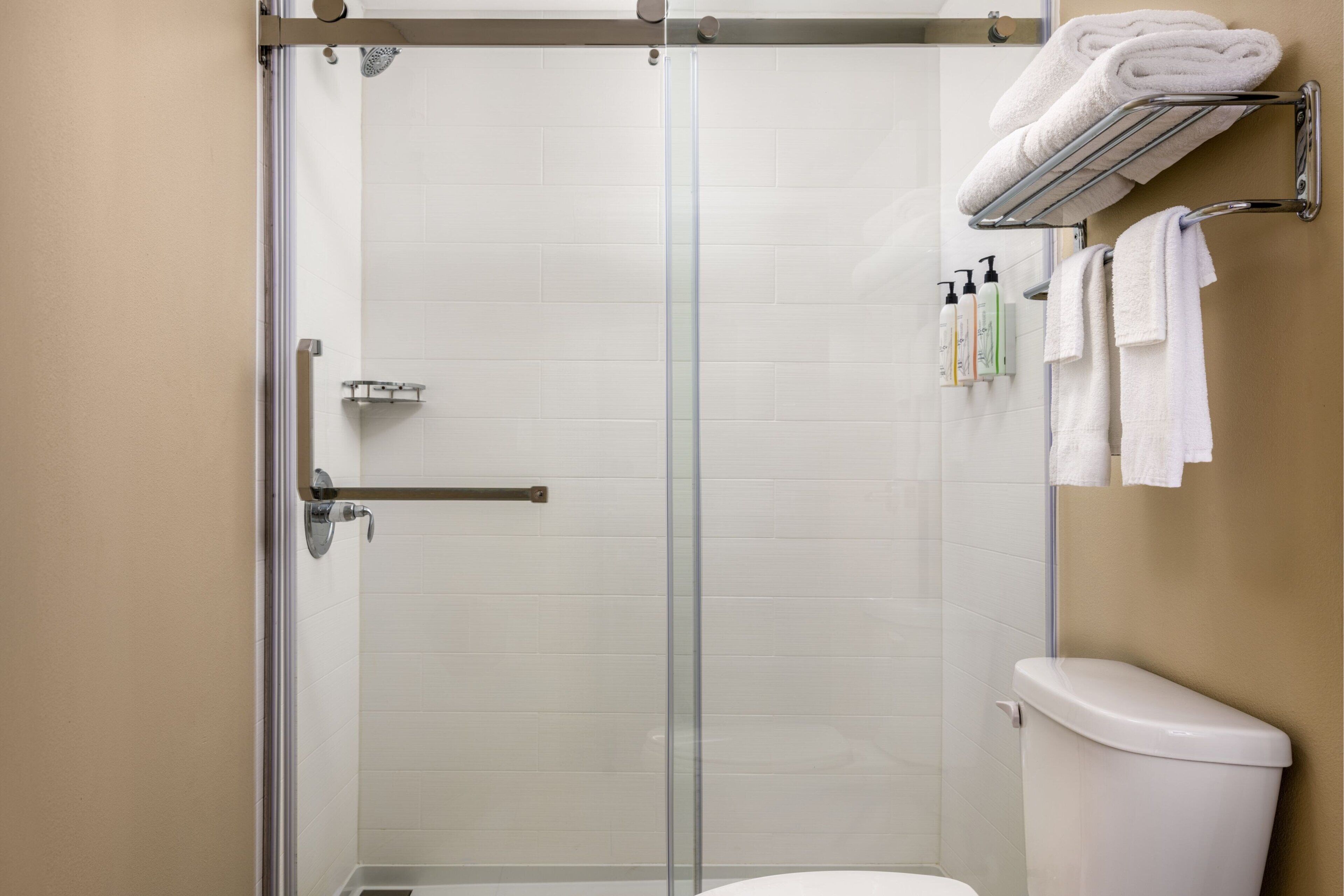 combined shower/bathtub, free toiletries, hair dryer, towels