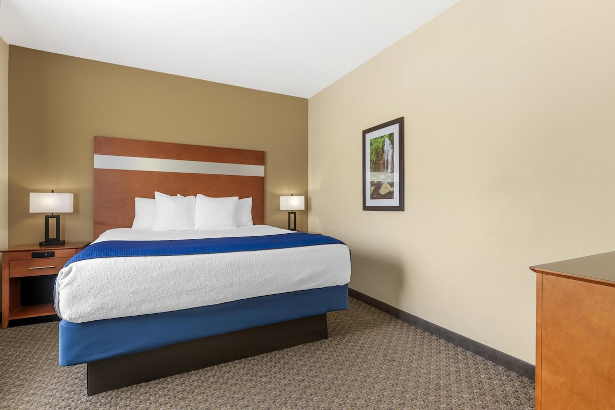 A hotel room with a bed, two bedside tables with lamps, a framed picture on the wall, and a wooden nightstand.