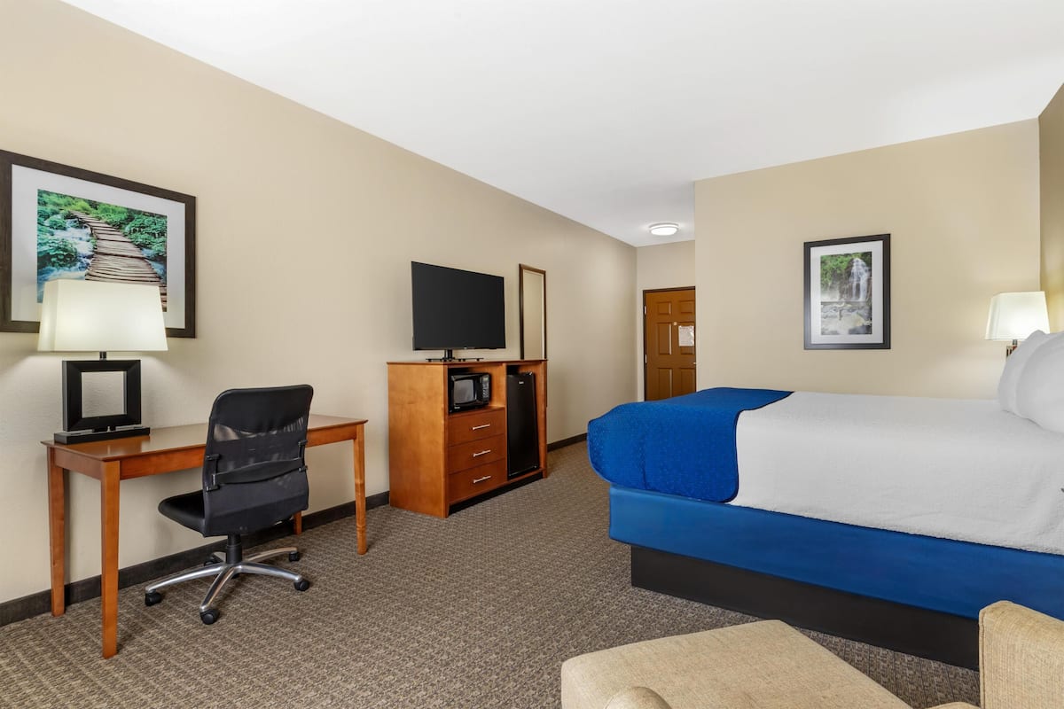A hotel room with a bed, desk, chair, television, and a microwave.