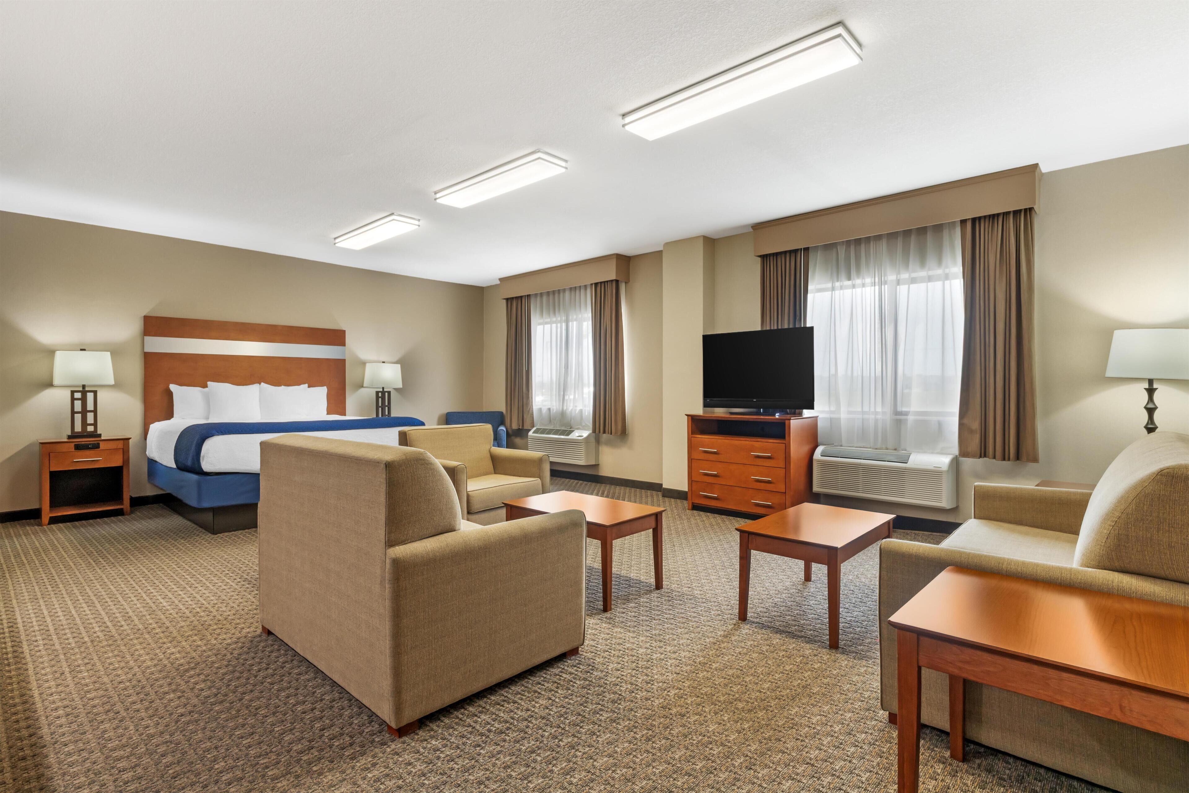 Standard Room, 1 King Bed, Non Smoking, Jetted Tub (with Single Sofabed)