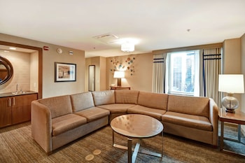 Presidential Room, 2 Bedrooms, Non Smoking | Living area | 55-inch LCD TV with satellite channels, TV, pay movies at Embassy Suites by Hilton Chicago Downtown Magnificent Mile