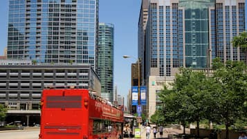Explore the vibrant city from a unique perspective on this double-decker bus.