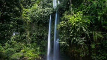Una cascada rodeada de vegetación verde exuberante.