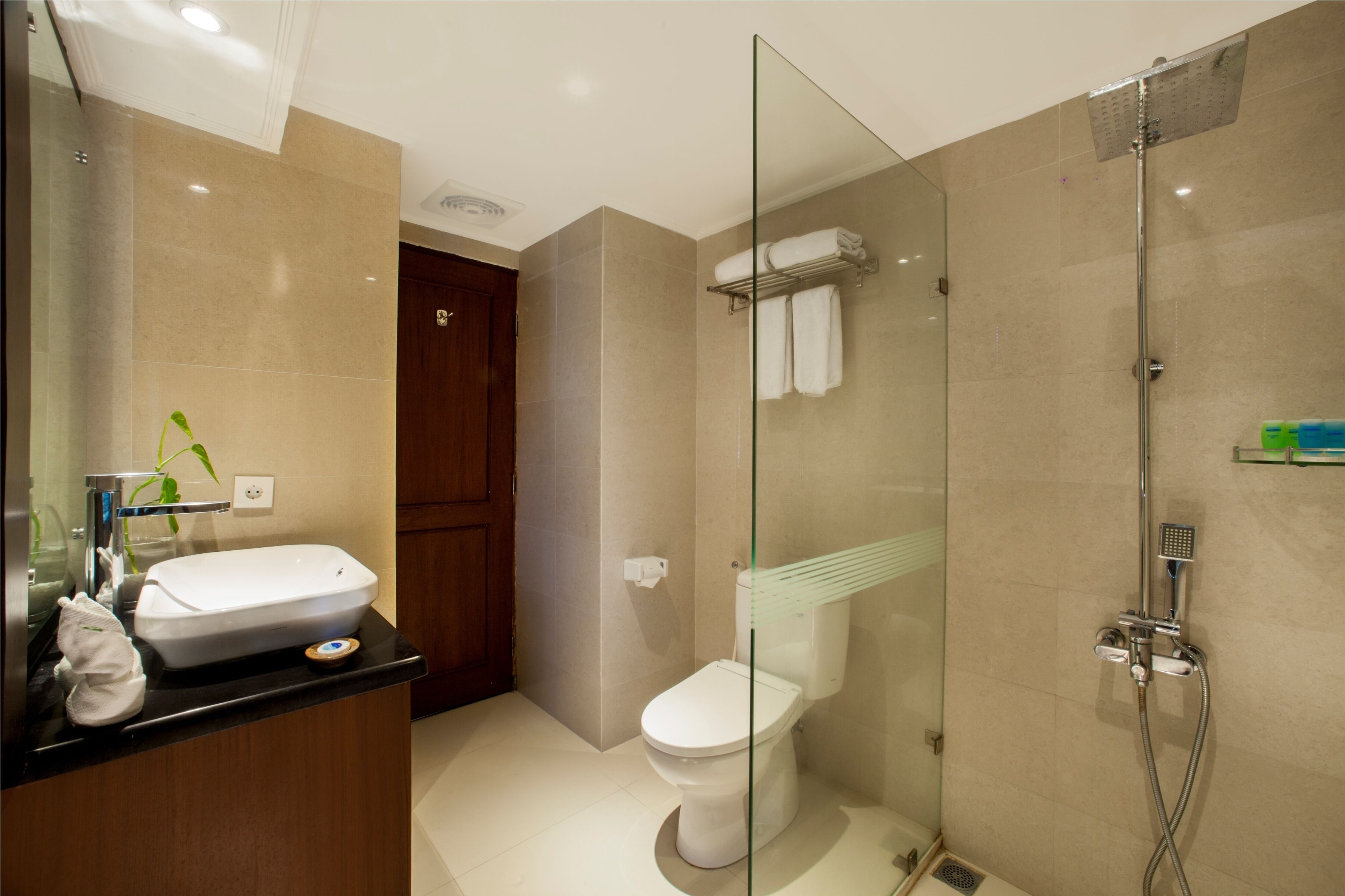 A modern bathroom with a glass shower enclosure, a white sink, and a toilet.
