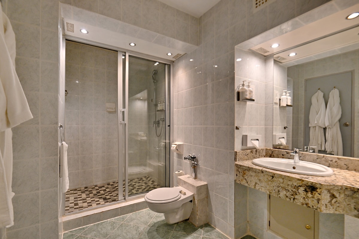 Une salle de bain moderne avec une douche à parois de verre, des toilettes et un lavabo doté d’un plan de travail en marbre.