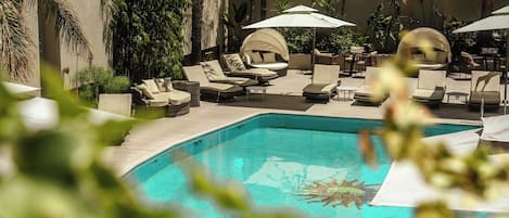 Outdoor pool, sun loungers