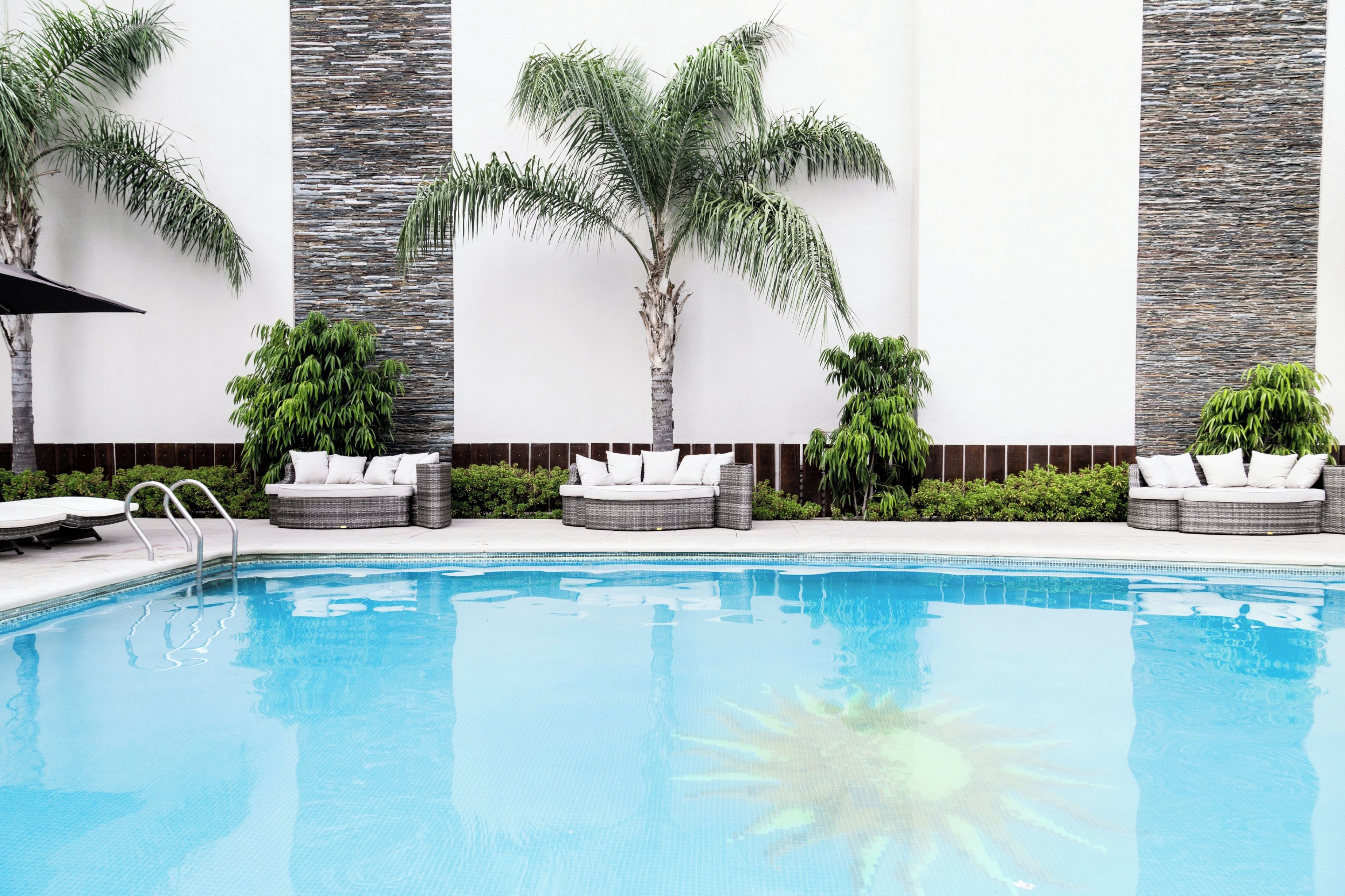 Una piscina con sillas de descanso y palmeras.