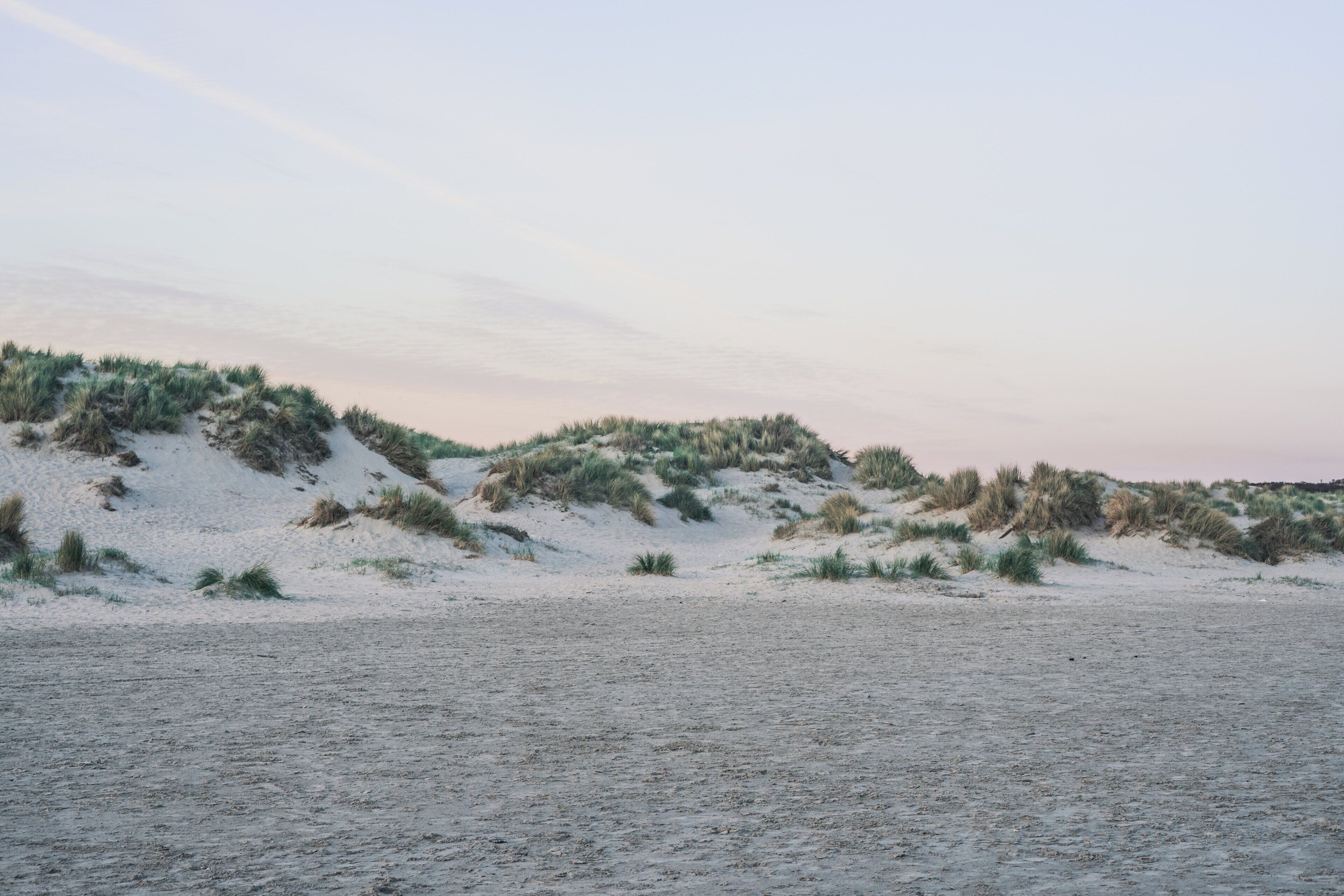 A sandy beach with dunes and sparse vegetation.