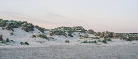 A sandy beach with dunes and sparse vegetation.