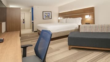 A hotel room with a bed, a desk, a chair, and a sofa.