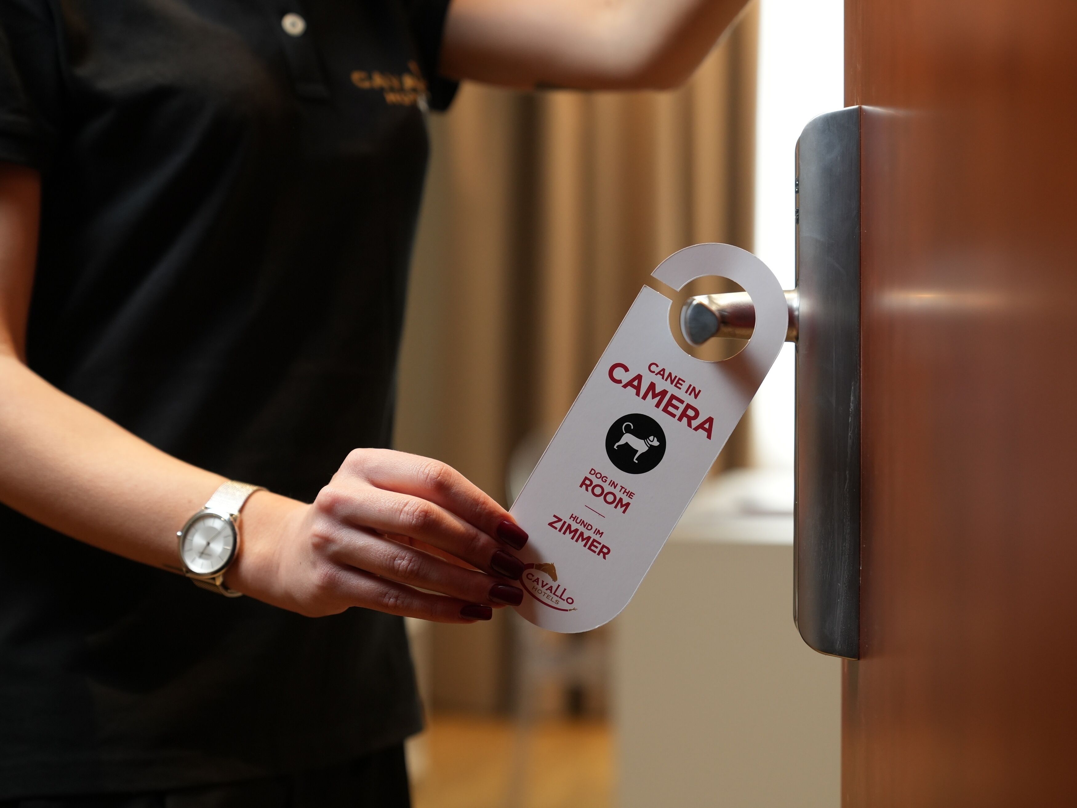 Foto - Cavallo Hotel Verona Est