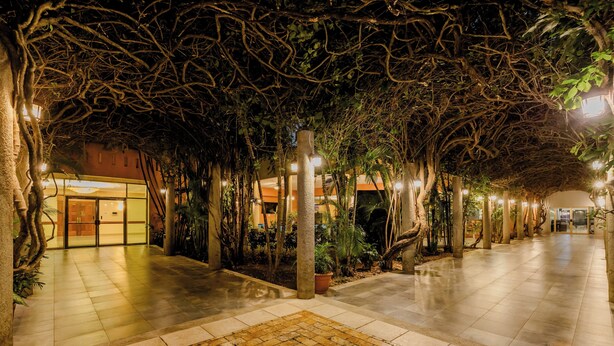 Un sendero interior con piso de baldosas, rodeado de árboles y plantas, que conduce a la entrada de un edificio.