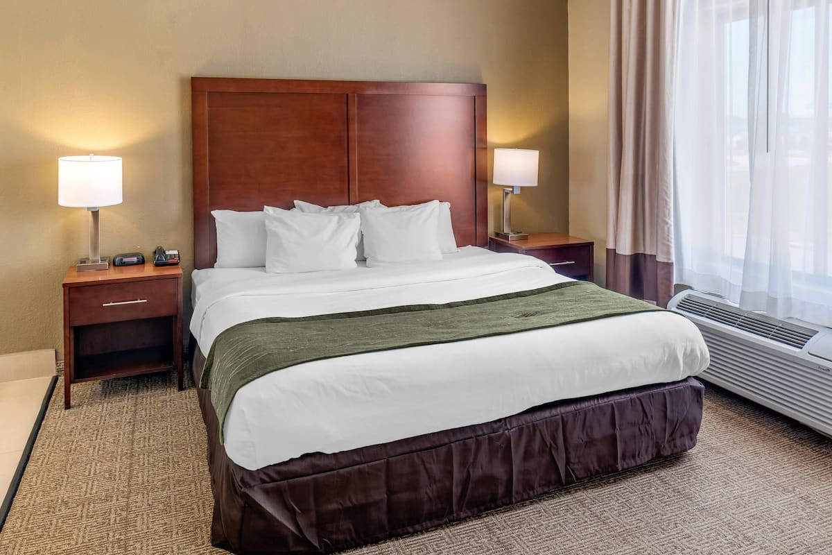 Suite, 1 King Bed with Sofa bed, Non Smoking (2 Person Sofa Bed)