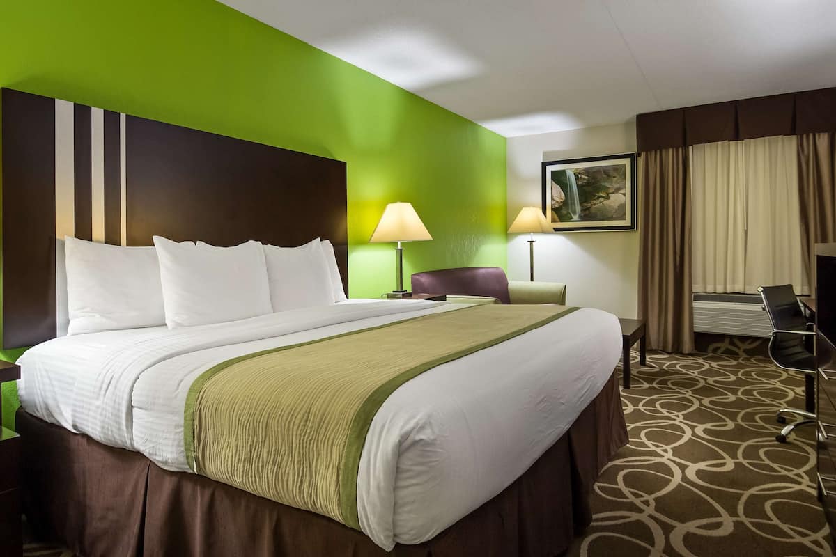 Desk, iron/ironing board, free WiFi, bed sheets