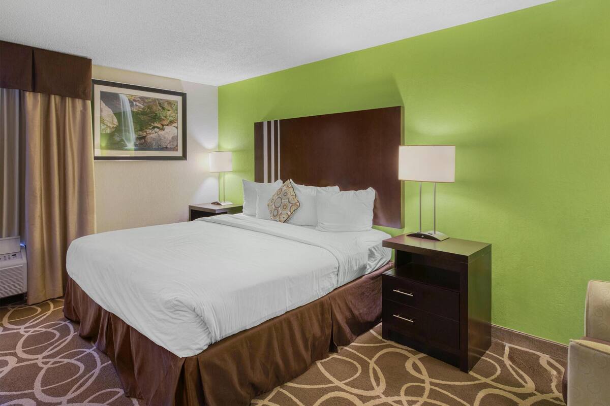 A hotel room with a large bed, green walls, a framed picture on the wall, and a nightstand with a lamp.