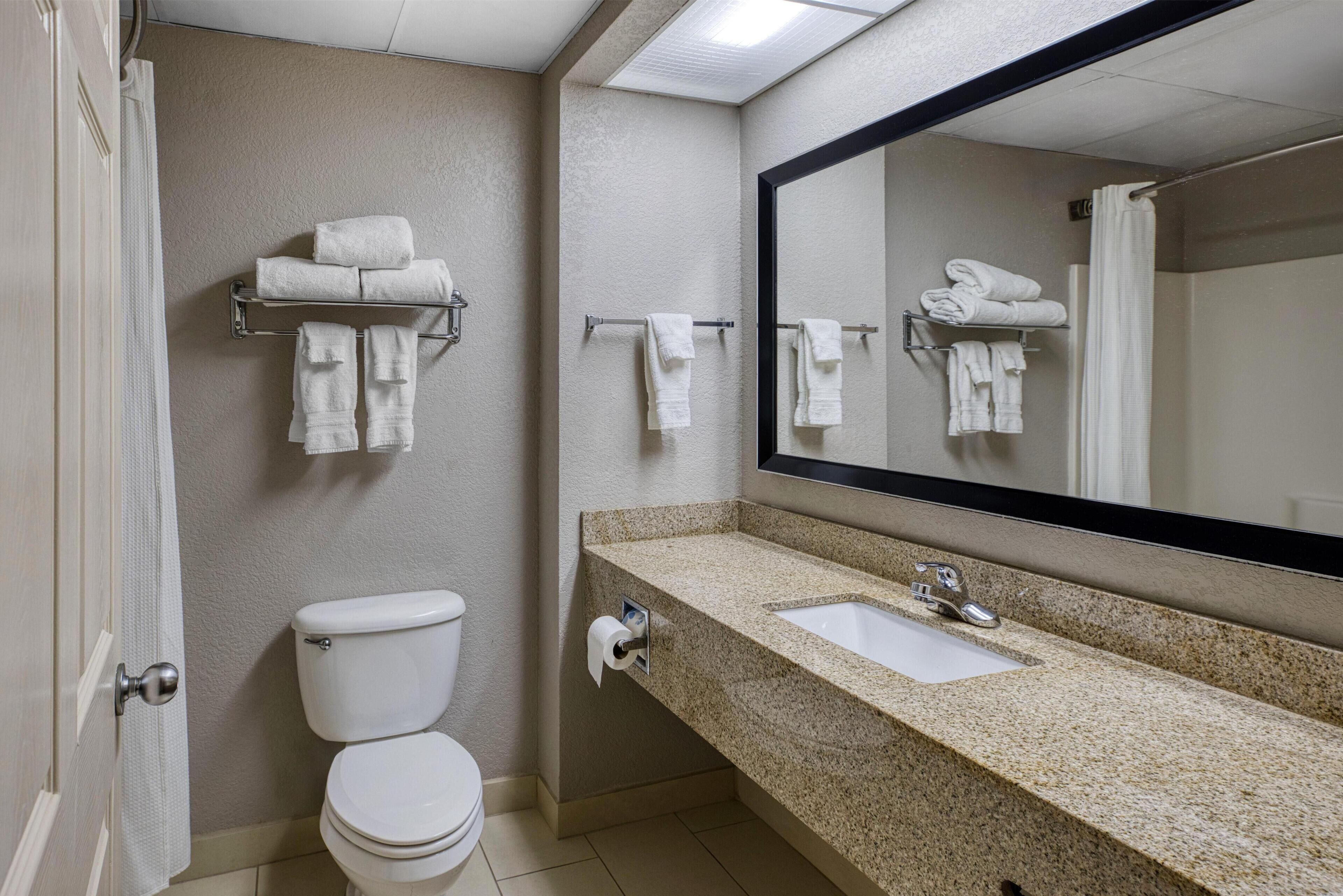Un baño con inodoro, lavamanos y toalleros.