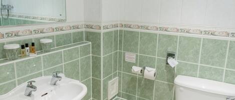 A bathroom with a sink, toilet, and mirror.