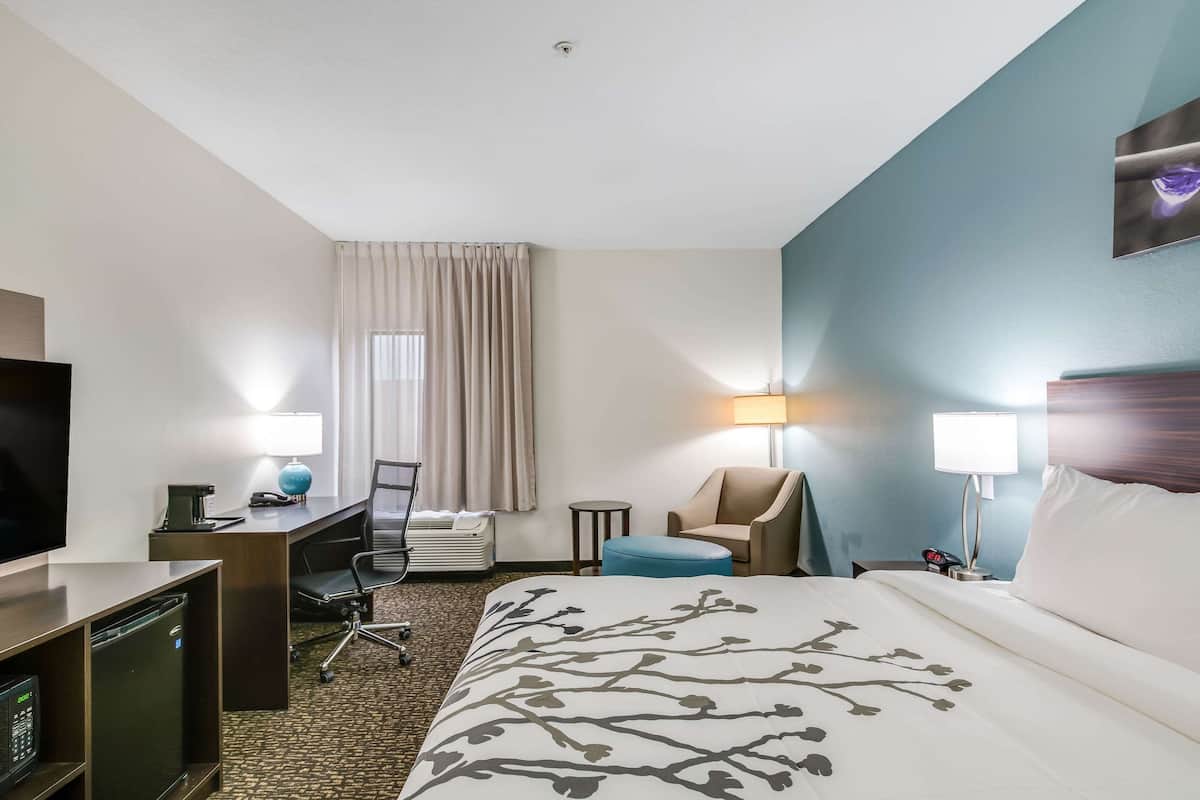 standard room, 1 king bed, non smoking | desk, iron/ironing board, free cots/infant beds, free rollaway beds