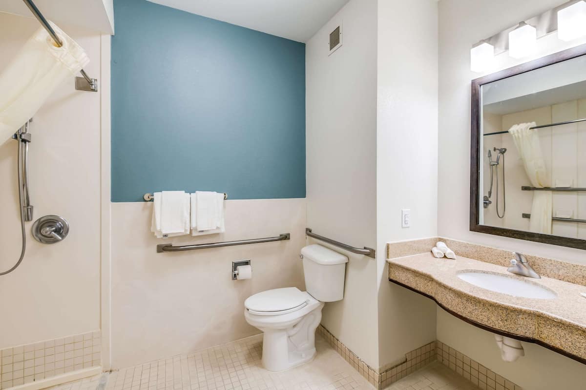 room, 1 king bed, accessible, non smoking | bathroom | free toiletries, hair dryer, towels