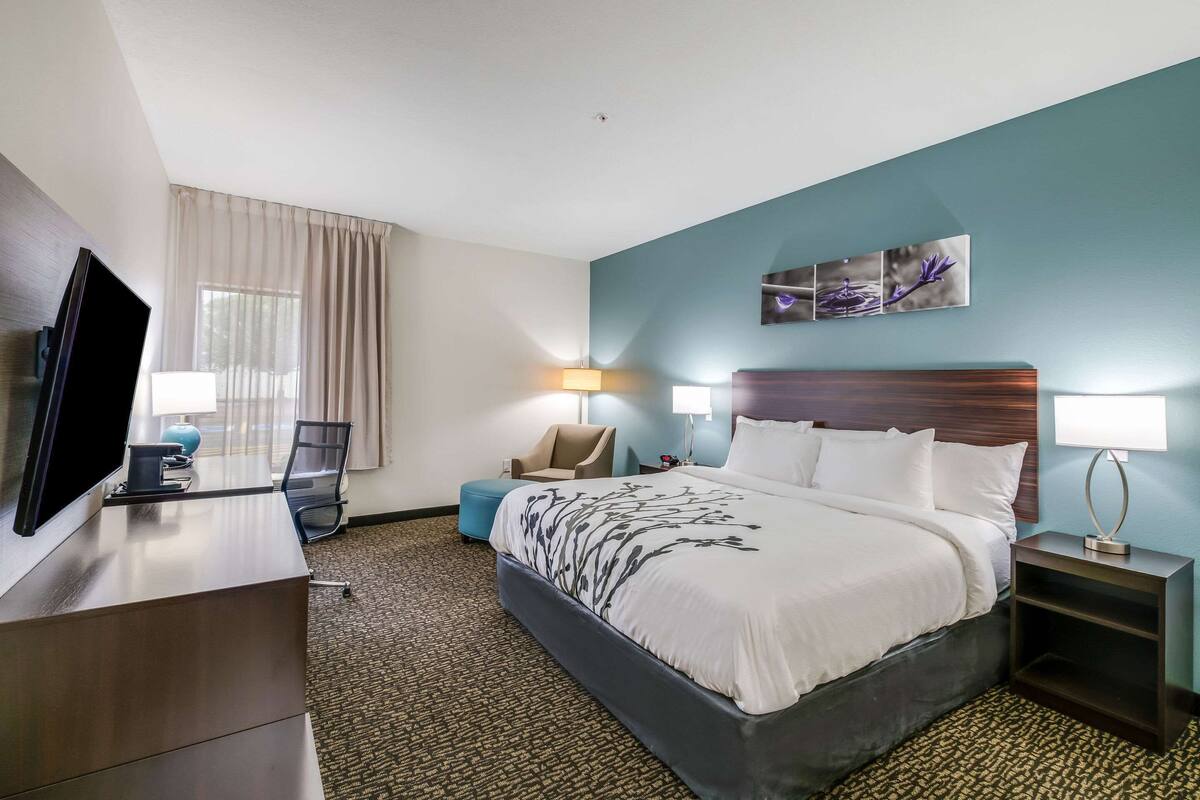 A hotel room with a bed, a desk with a TV, a chair, a lamp, and a nightstand.