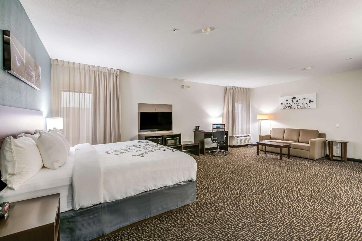 A hotel room with a bed, a desk, a television, a sofa, and a carpeted floor.