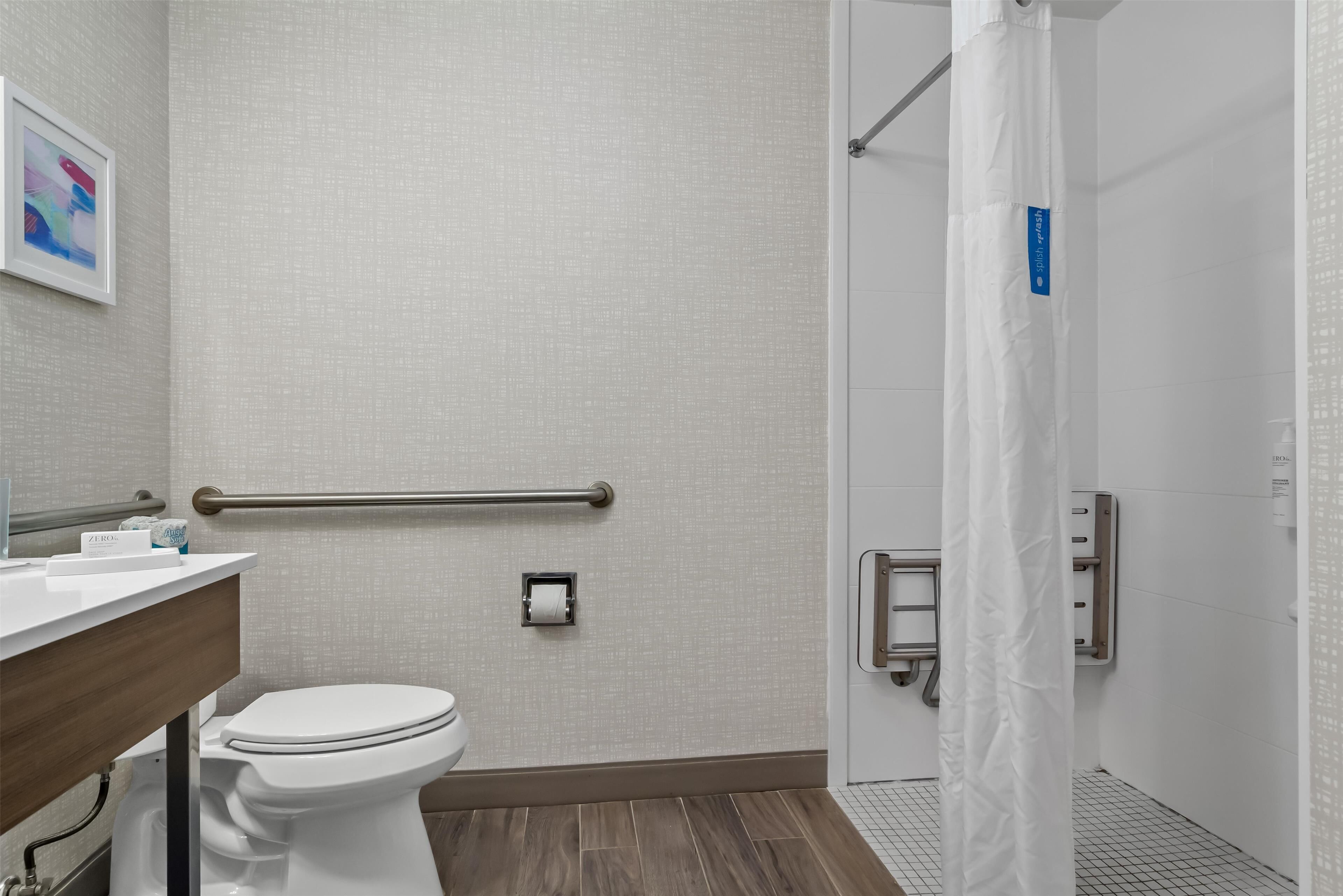 room, 1 king bed, accessible, non smoking | bathroom shower