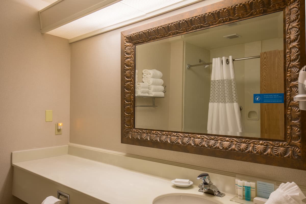 combined shower/bathtub, free toiletries, towels