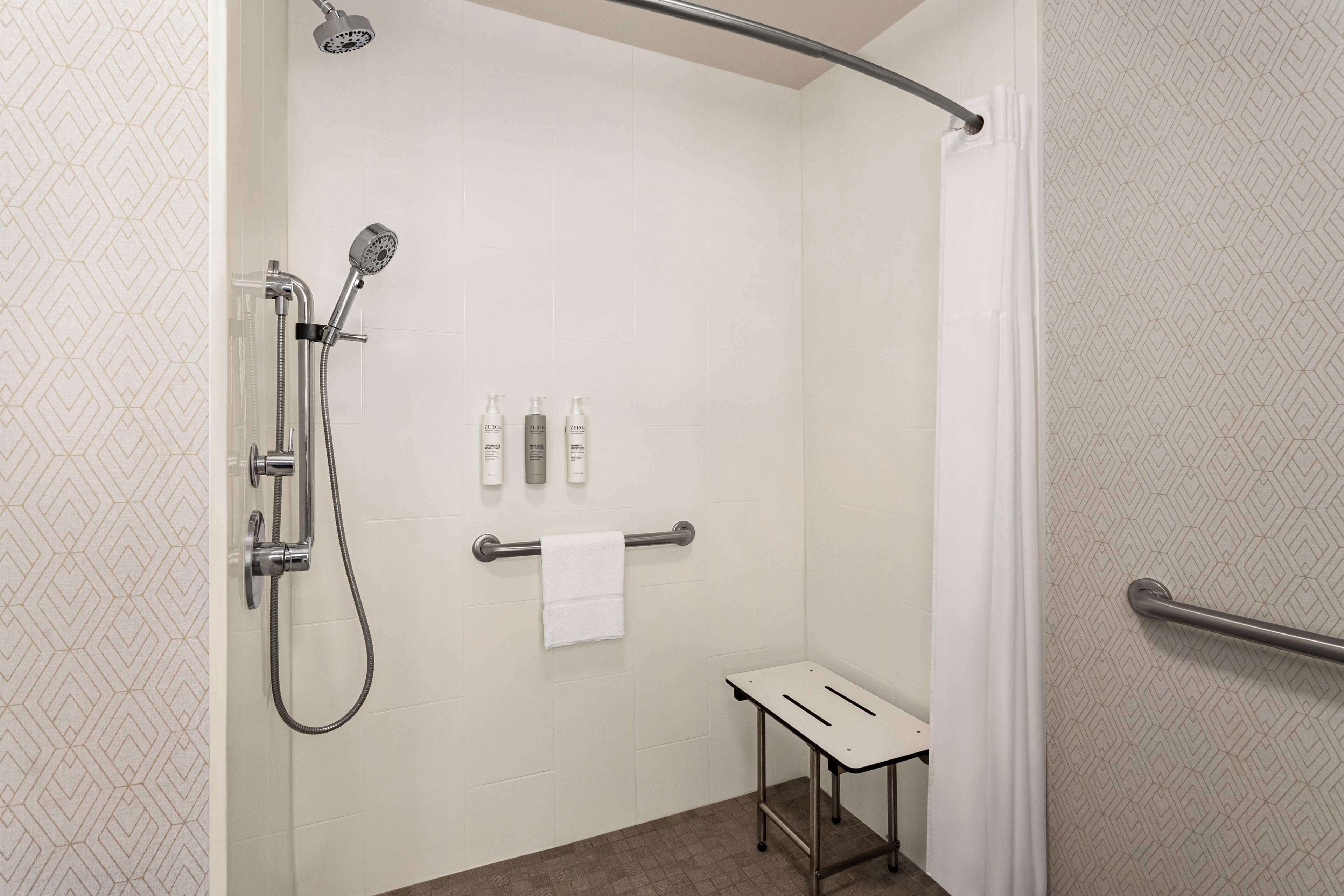room, 1 king bed, accessible, non smoking | bathroom shower