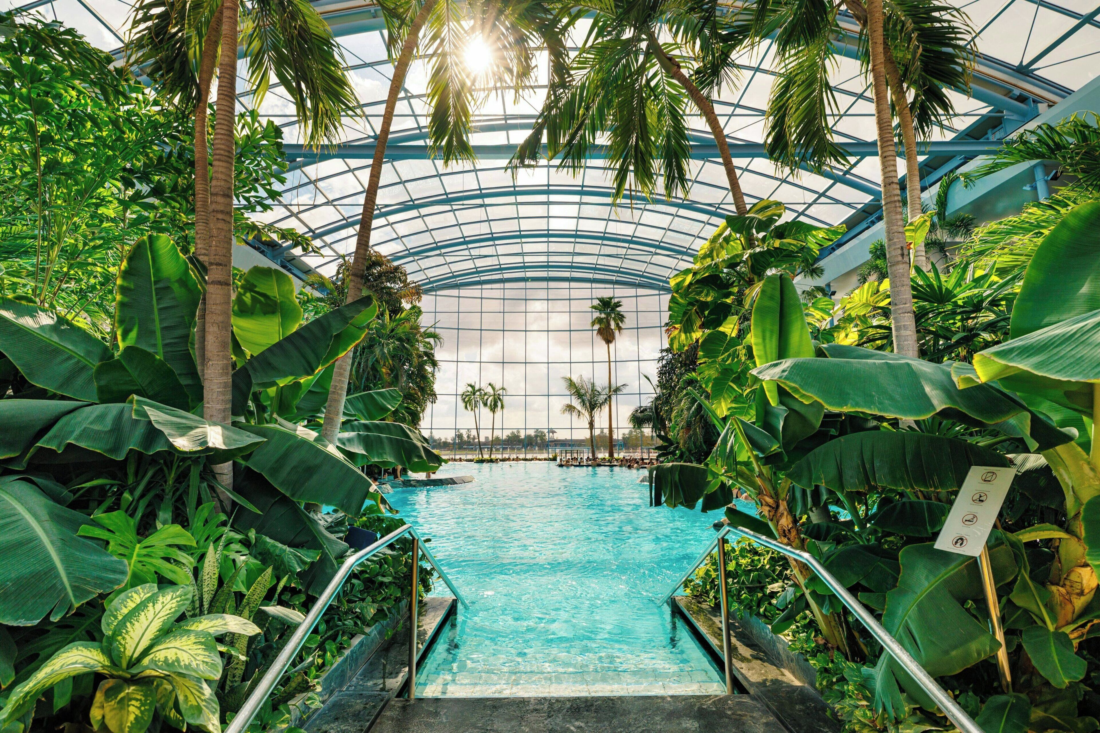 身體療程、芳香療法、面部療程、修手甲/腳甲、按摩服務