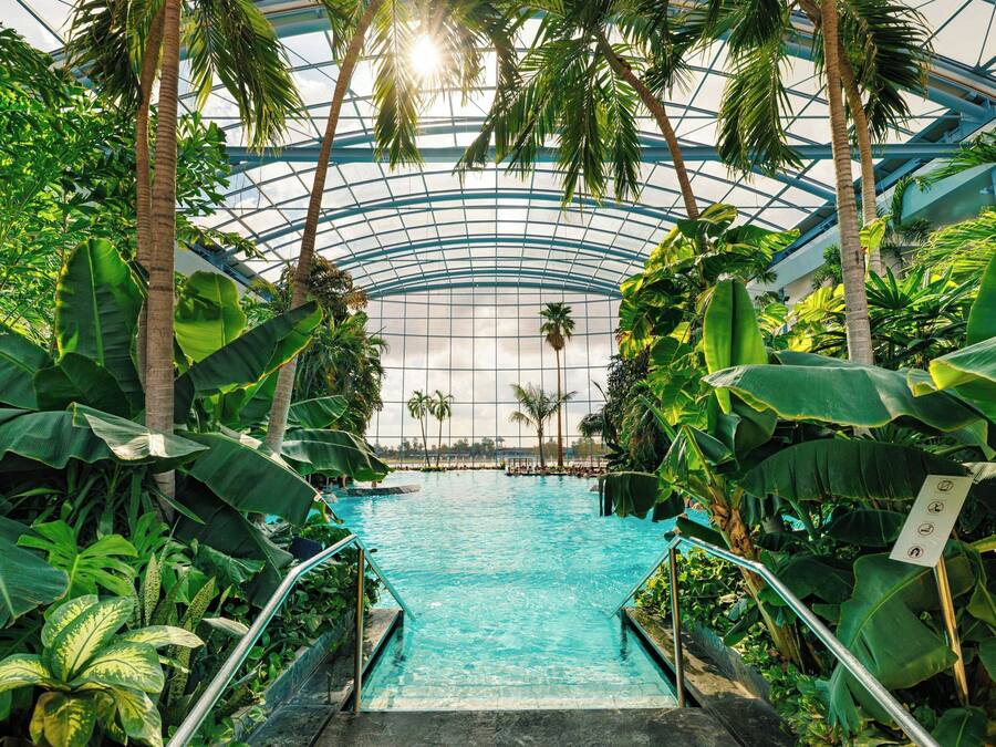 Trattamenti per il corpo, aromaterapia, trattamenti per il viso