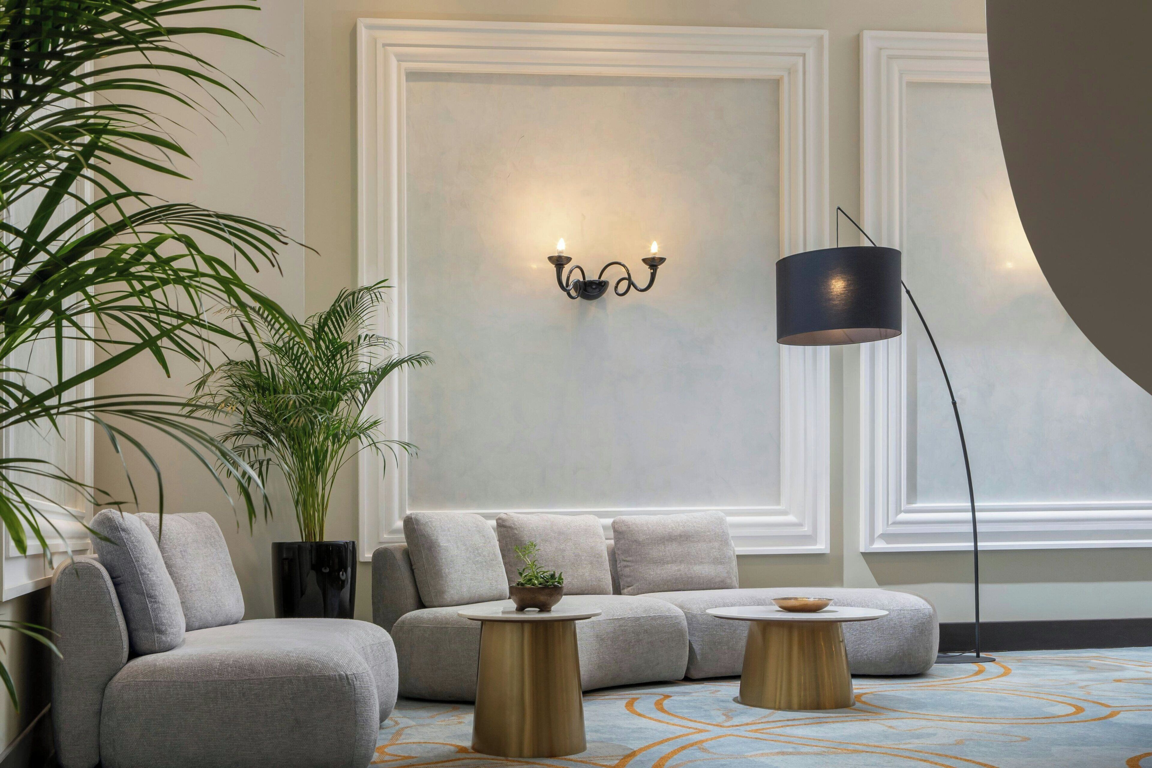 A modern living room with a grey sofa, two round side tables, a floor lamp, and a large potted plant.