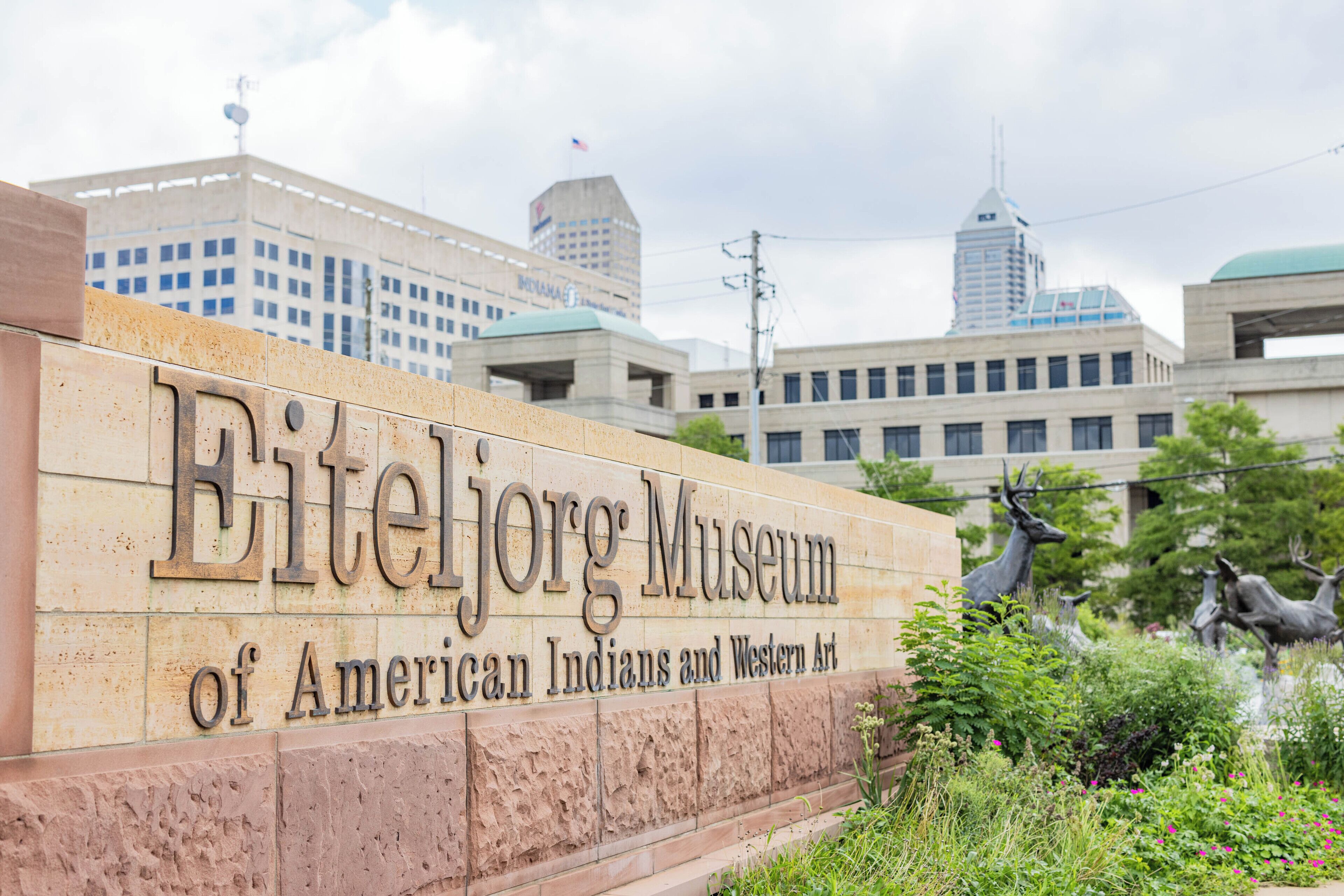 land view from property