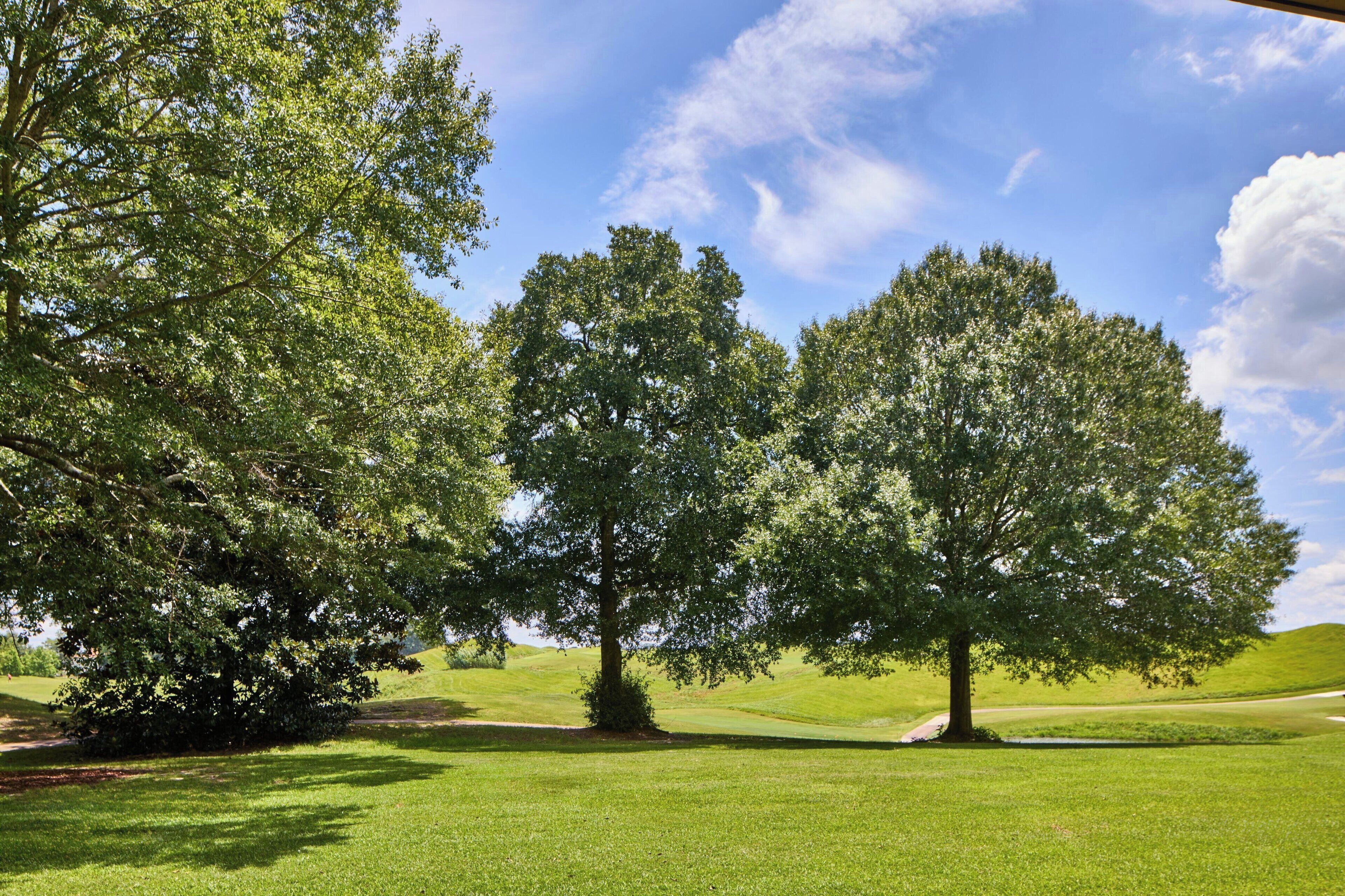 premium bedding, desk, blackout curtains, iron/ironing board