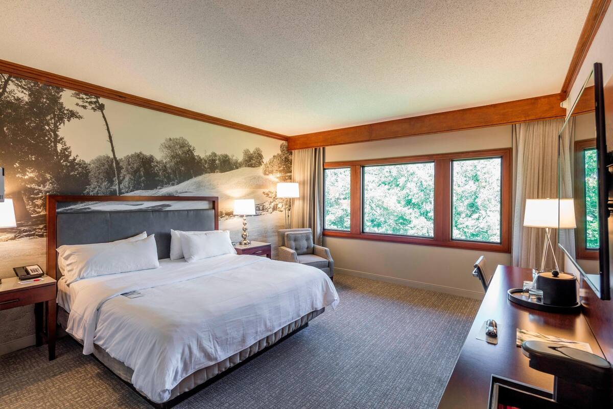 Premium bedding, desk, blackout curtains, iron/ironing board