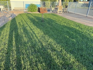BBQ/picnic area