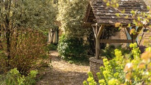 A stone pathway leading through a garden with a wooden structure, surrounded by various plants and trees. - Lucknam Park, Emblems Collection (Chippenham)