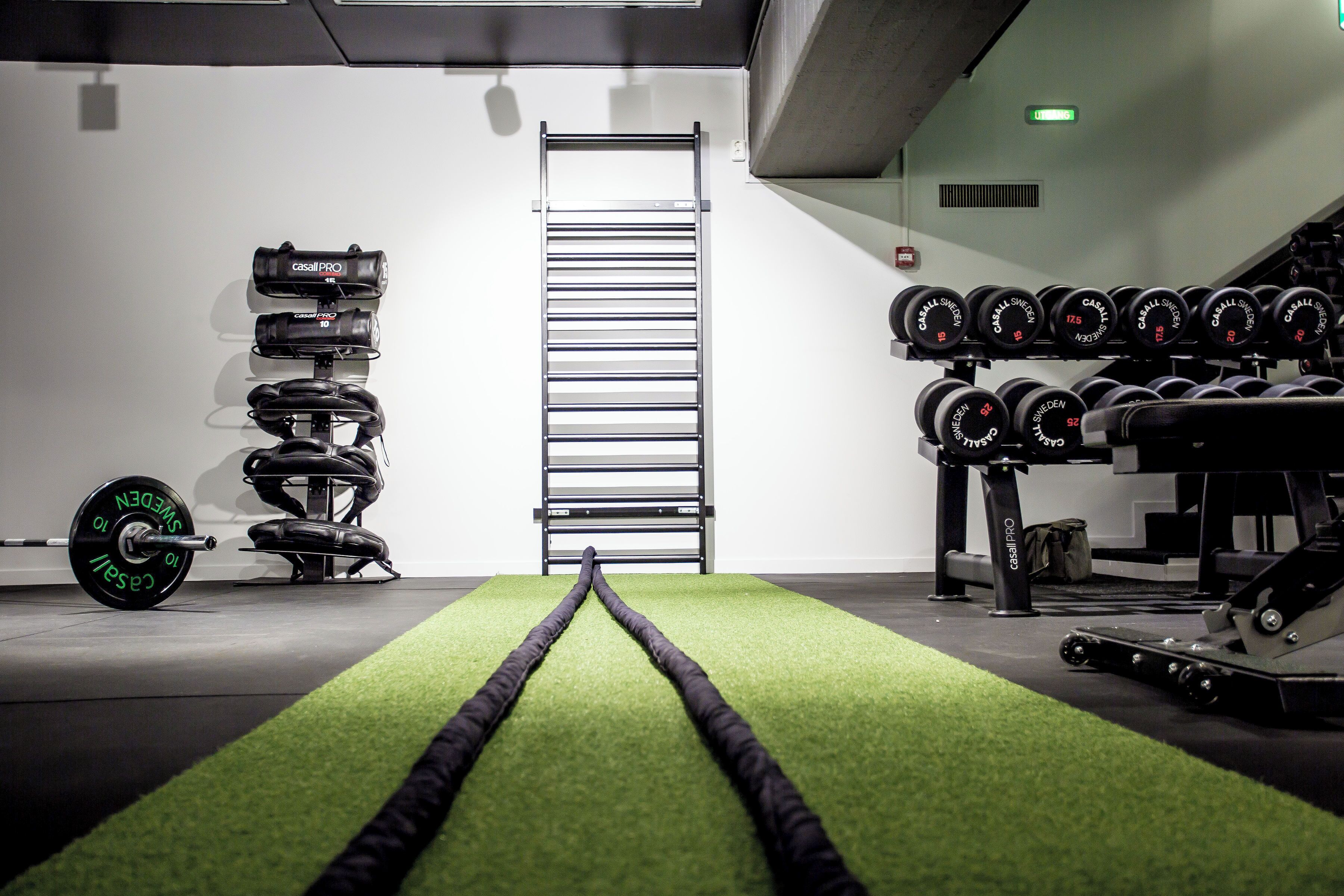 A gym with weightlifting equipment, a squat rack, and a green carpeted floor.