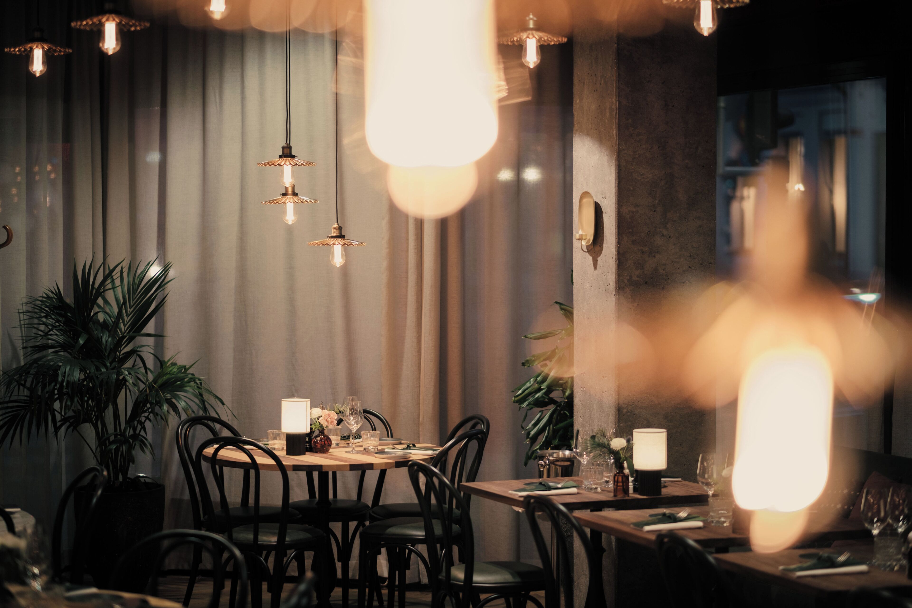 Una sala da pranzo scarsamente illuminata, con lampadari pendenti, un tavolo in legno apparecchiato e piante in vaso.