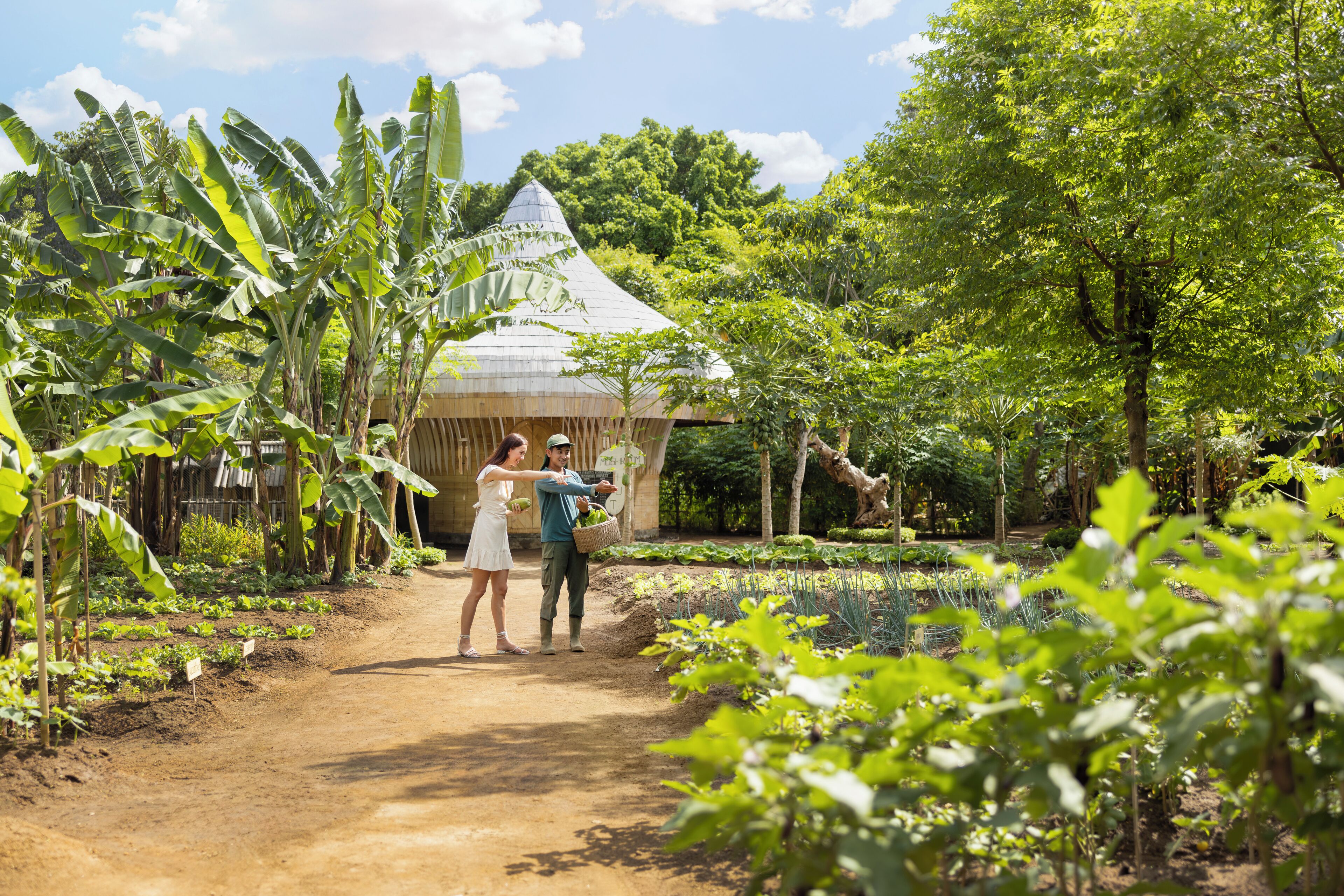 Uma trilha de terra leva a um edifício rústico, cercado por bananeiras exuberantes e vegetação.