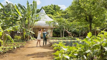 A dirt path leading to a rustic building surrounded by lush banana plants and other greenery.