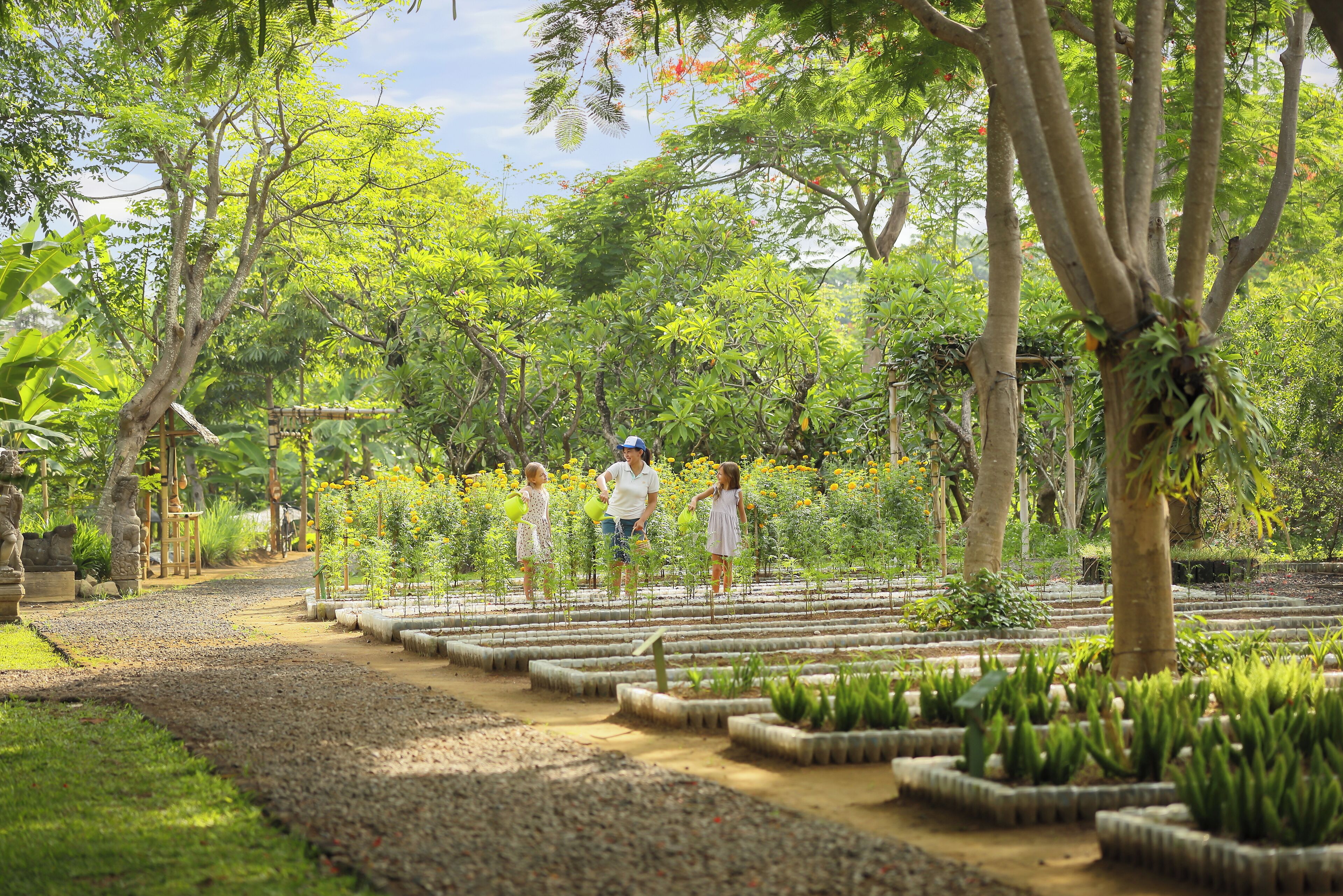 Un jardín con un sendero de grava, plantas jóvenes en bancales rectangulares y árboles.