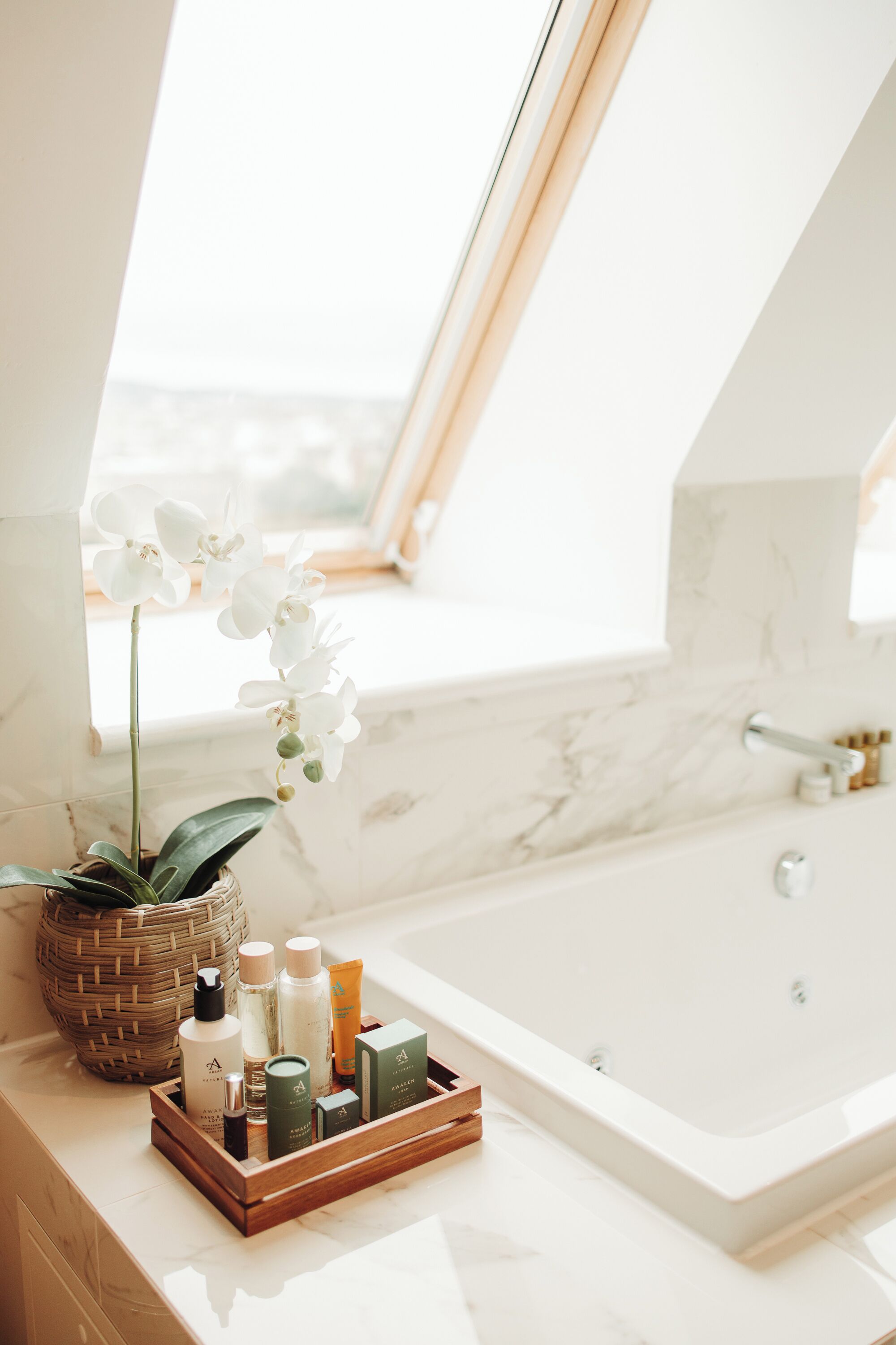 Penthouse Suite | Bathroom