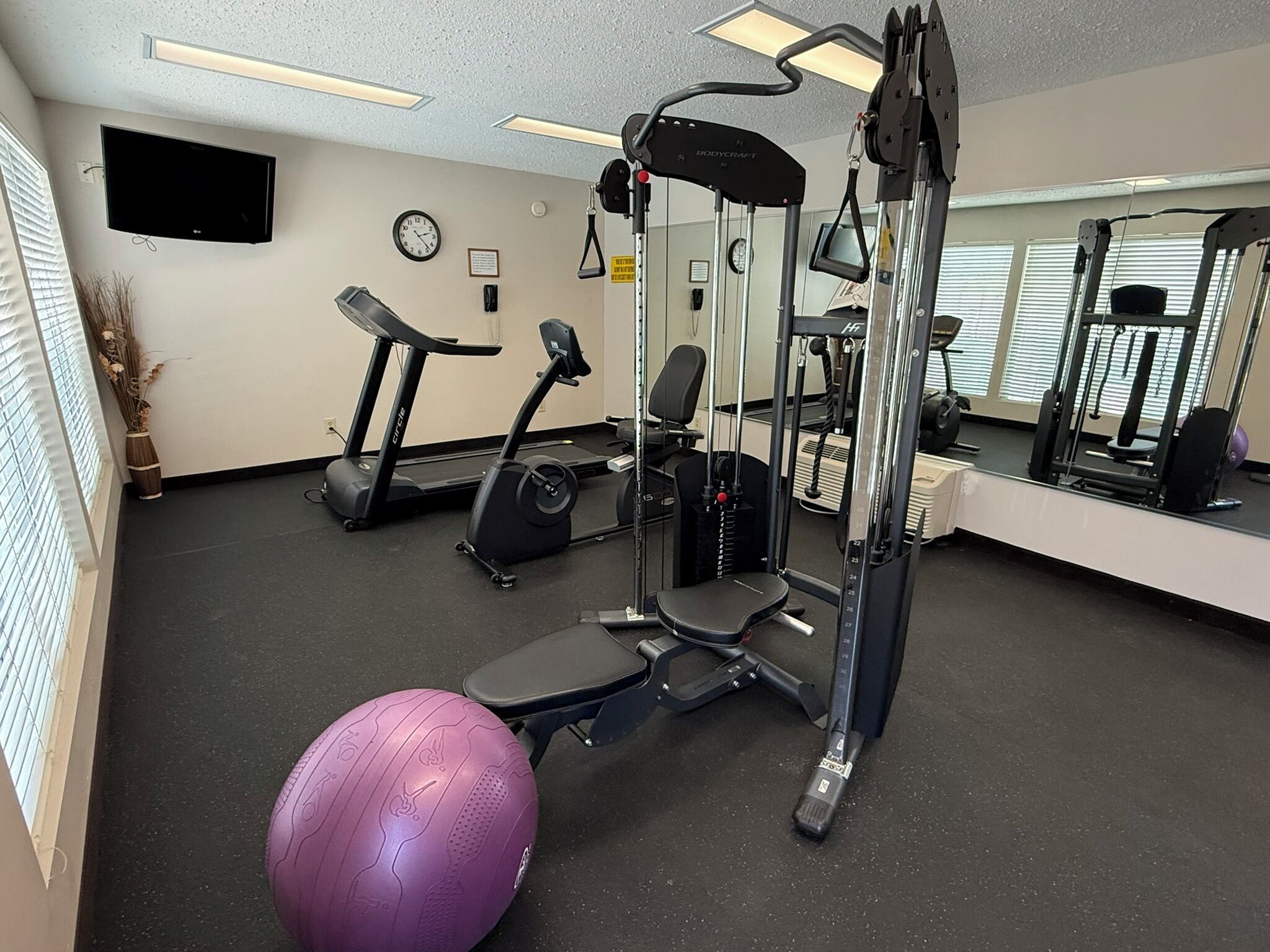 A gym with exercise equipment, a treadmill, and a stationary bike.