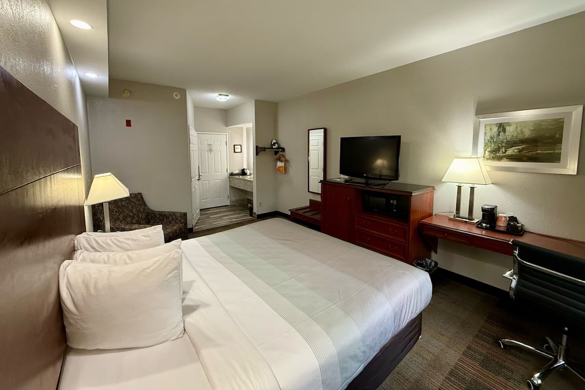 Habitación de hotel con una cama grande, televisión, escritorio con lámpara y un cuadro en la pared.