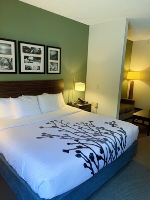 Studio Suite, 1 King Bed with Sofa bed, Non Smoking