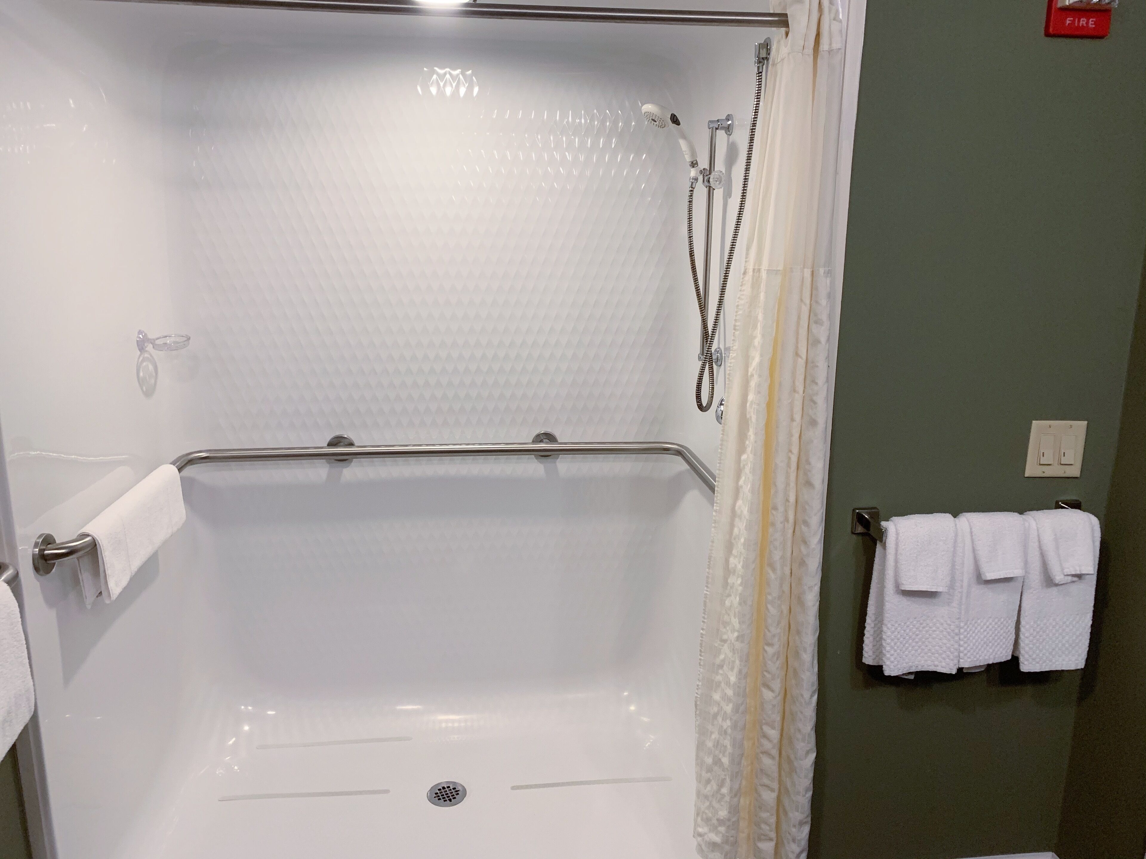 room, 1 queen bed, accessible, non smoking | bathroom shower