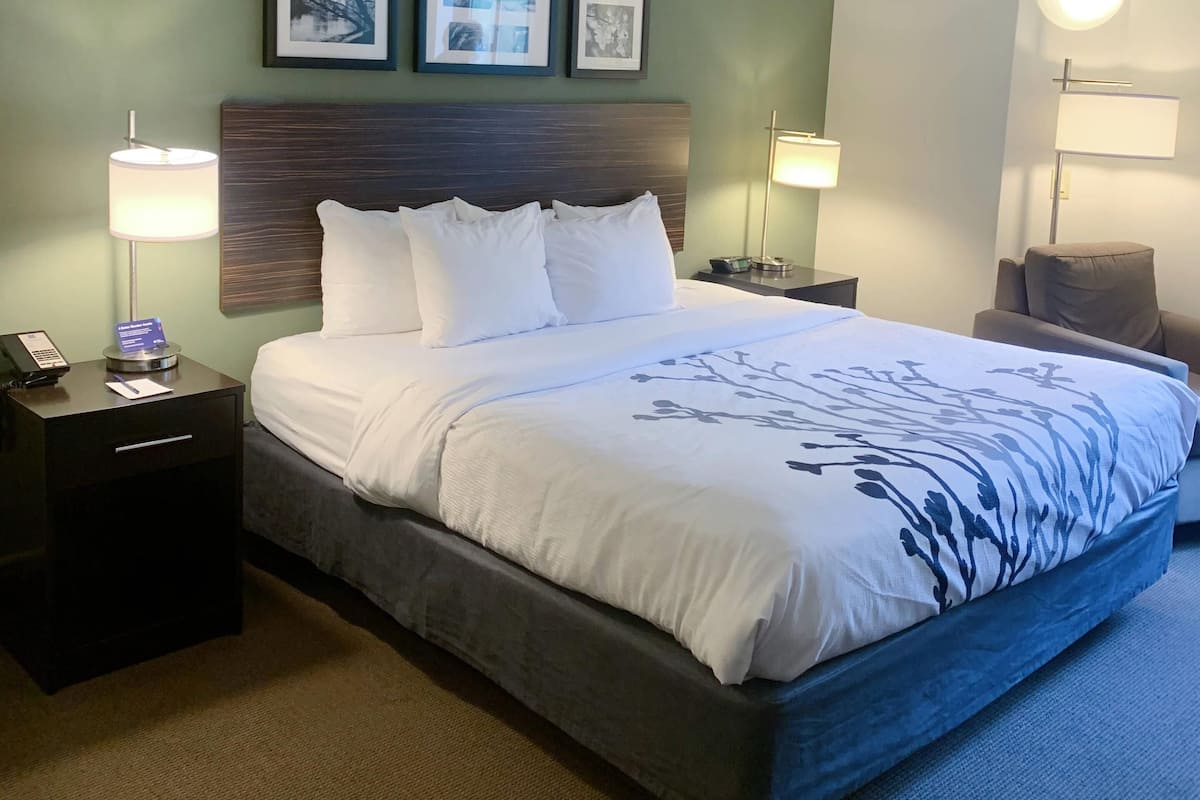 Habitación estándar, 1 cama King size, para no fumadores | Escritorio, cortinas blackout y tabla de planchar con plancha