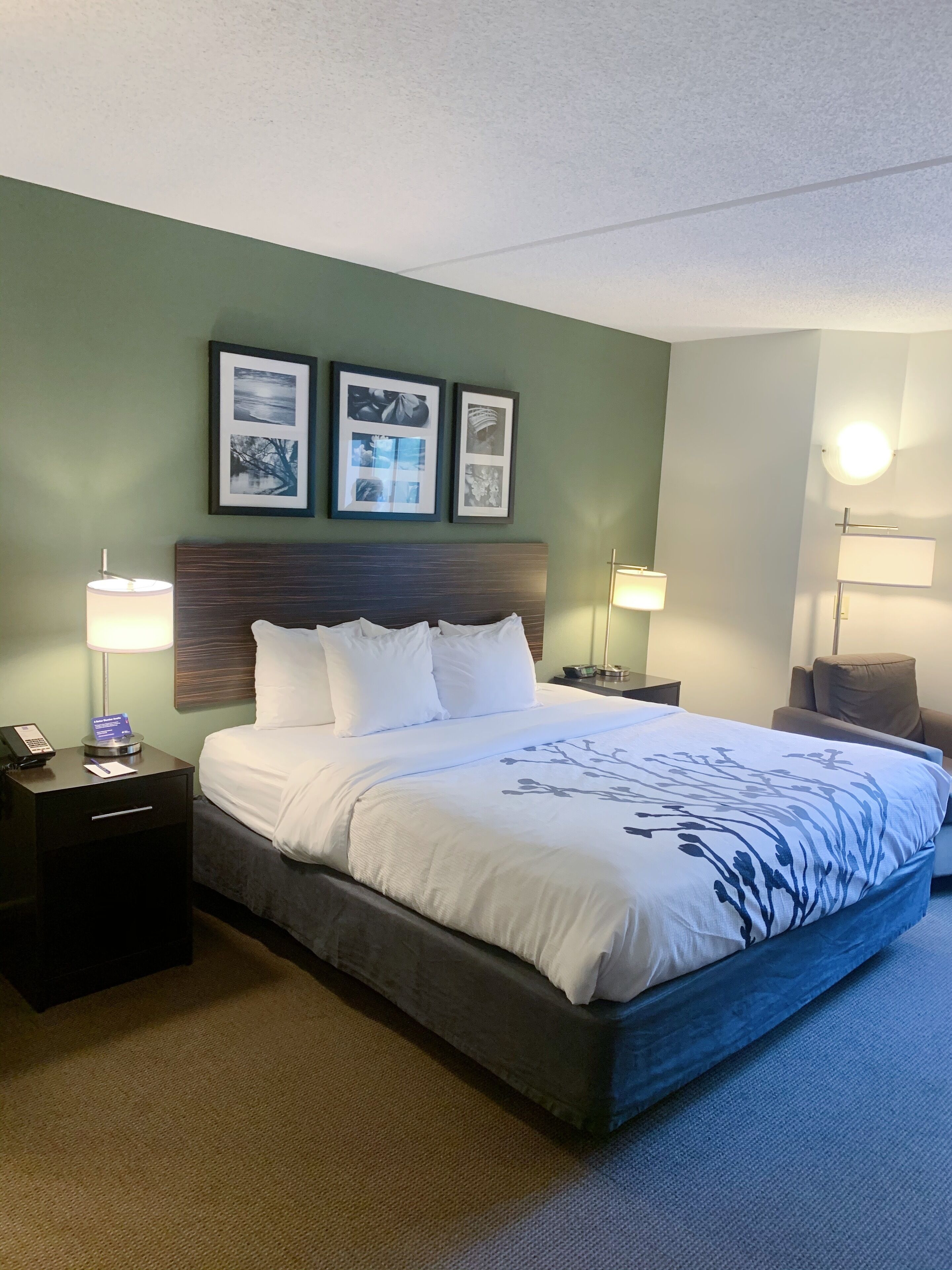 Standard Room, 1 King Bed, Non Smoking | Desk, blackout drapes, iron/ironing board, free cribs/infant beds