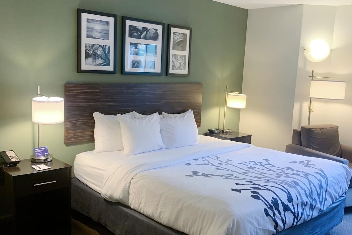 standard room, 1 king bed, non smoking | desk, blackout curtains, iron/ironing board, free cots/infant beds